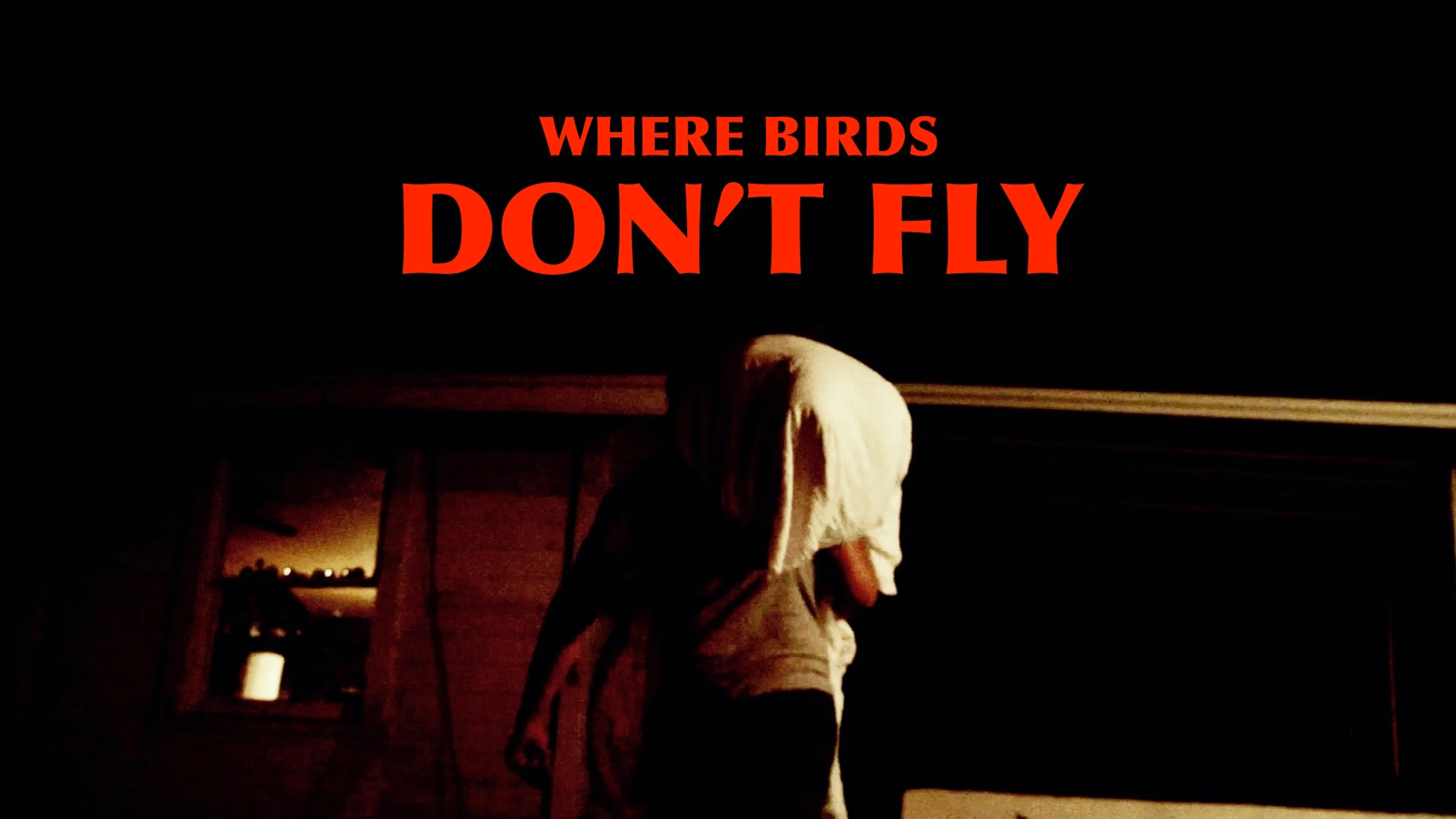 Where Birds Don't Fly poster
